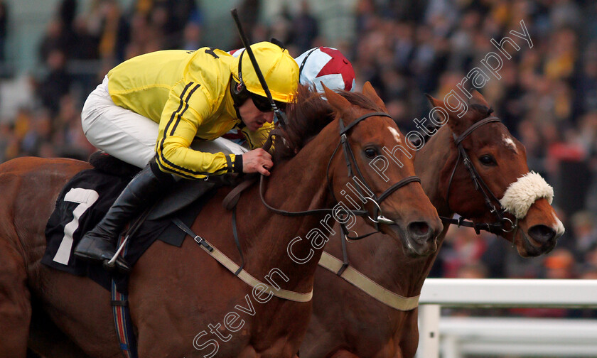 Buildmeupbuttercup-0005 
 BUILDMEUPBUTTERCUP (left, Brian Hughes) beats ROSY WORLD (right) in The Millgate Mares Standard Open National Hunt Flat Race Ascot 17 Feb 2018 - Pic Steven Cargill / Racingfotos.com