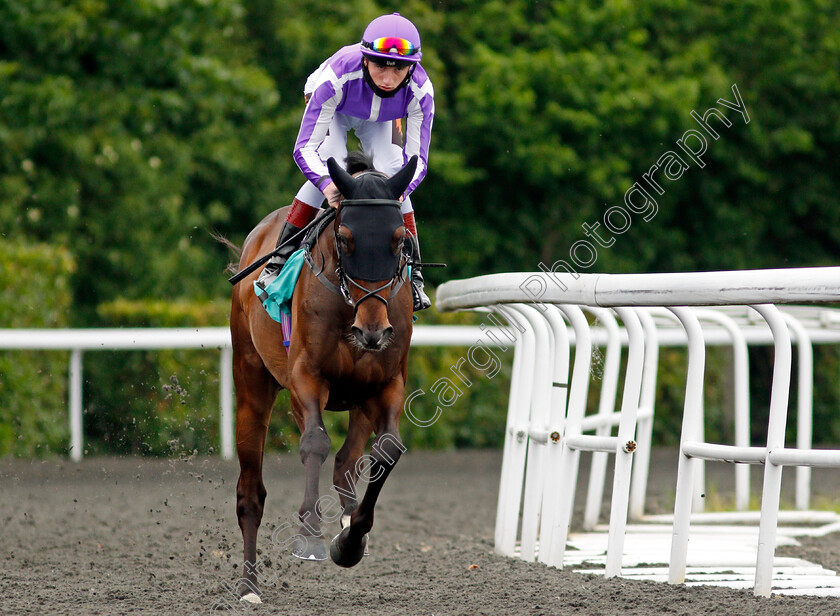 Fight-For-It-0001 
 FIGHT FOR IT (David Egan)
Kempton 2 Jun 2021 - Pic Steven Cargill / Racingfotos.com