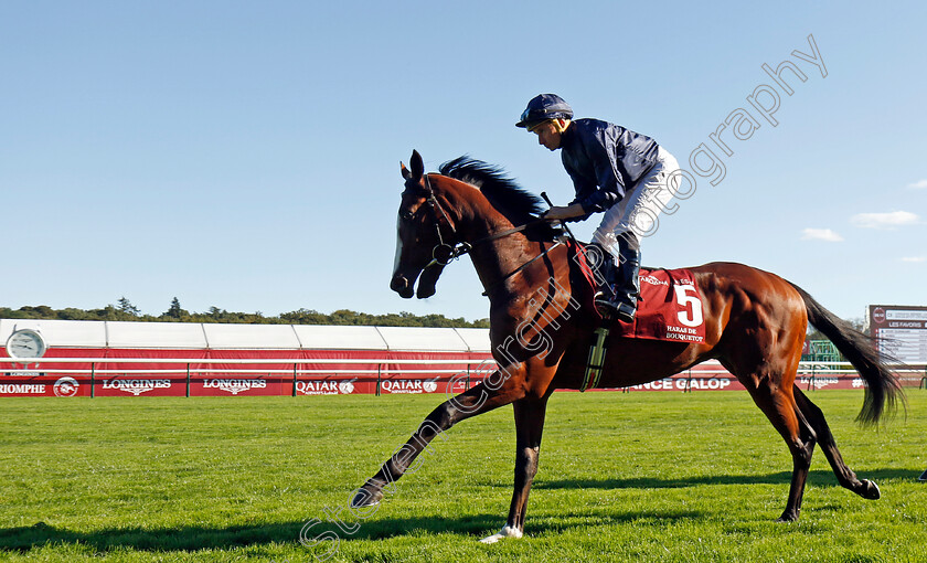 Mount-Kilimanjaro-0006 
 MOUNT KILIMANJARO (Ryan Moore) winner of The Arqana Series Haras de Bouquetot Criterium d'Automne
Longchamp 5 Oct 2024 - Pic Steven Cargill / Racingfotos.com