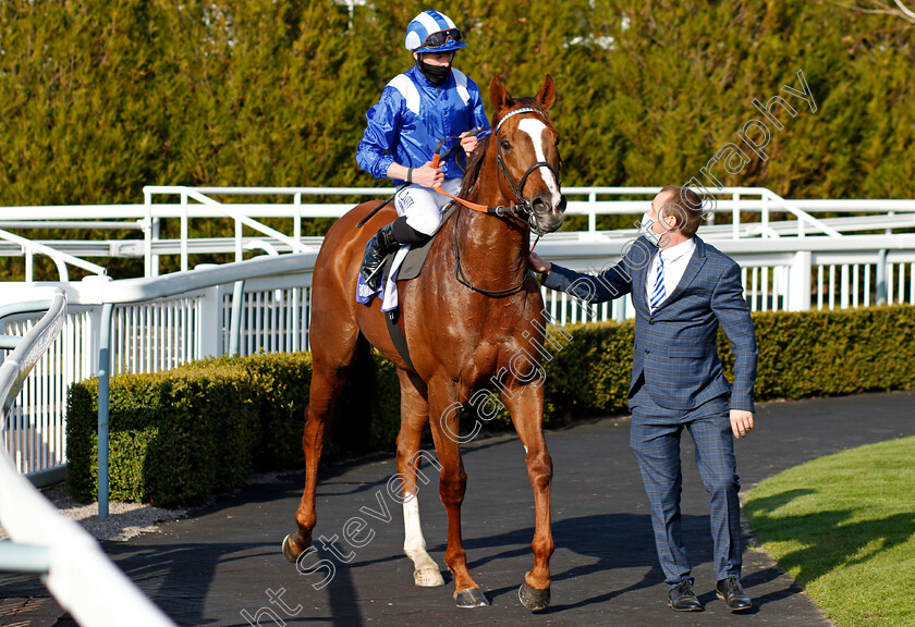 Khuzaam-0004 
 KHUZAAM (Jack Mitchell) after The Bombardier All-Weather Mile Championships Conditions Stakes
Lingfield 2 Apr 2021 - Pic Steven Cargill / Racingfotos.com