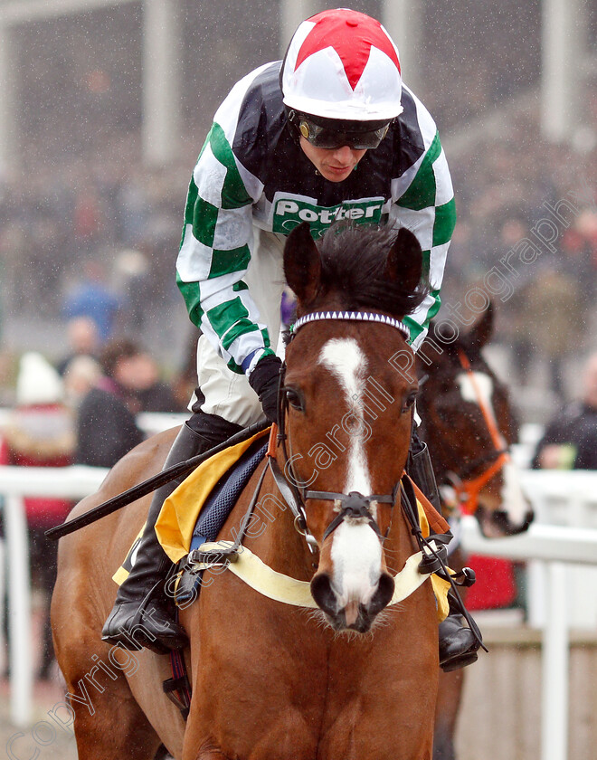 Our-Power-0001 
 OUR POWER (Tom Cannon) 
Cheltenham 27 Jan 2019 - Pic Steven Cargill / Racingfotos.com