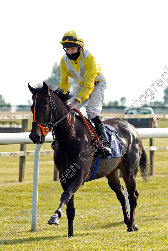 Vaunted-0001 
 VAUNTED (Liam Keniry)
Bath 23 Jun 2021 - Pic Steven Cargill / Racingfotos.com