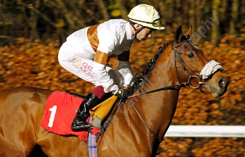 Lessay-0008 
 LESSAY (Oisin Murphy) winner of The Unibet / British Stallion Studs EBF Novice Stakes
Kempton 13 Dec 2023 - Pic Steven Cargill / Racingfotos.com