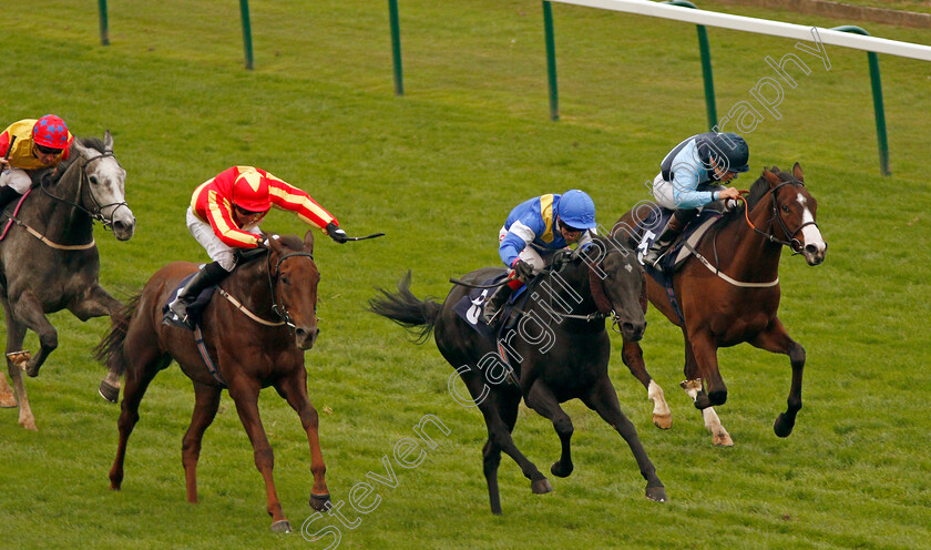 Harlequin-Rock-0003 
 HARLEQUIN ROCK (centre, Franny Norton) beats HARRY BEAU (left) and COVERHAM (right) in The Great Yarmouth & Caister Golf Club Mechants Gallop Handicap Div1 Yarmouth 16 Oct 2017 - Pic Steven Cargill / Racingfotos.com