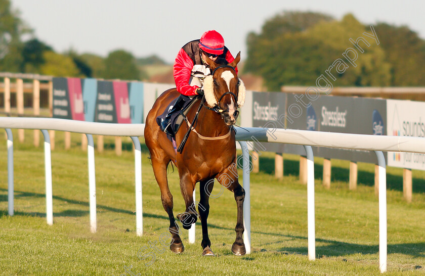 Sigrid-Nansen-0005 
 SIGRID NANSEN (Cieren Fallon) wins The Value Rater Racing Club Handicap
Bath 3 Jul 2019 - Pic Steven Cargill / Racingfotos.com