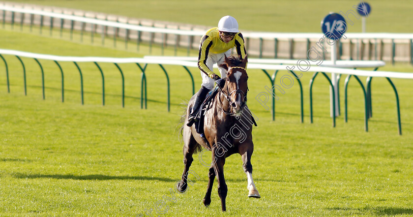 Burdett-Road-0004 
 BURDETT ROAD (Harry Davies) wins The Al Basti Equiworld Dubai Godolphin Stakes
Newmarket 27 Sep 2024 - Pic Steven Cargill / Racingfotos.com