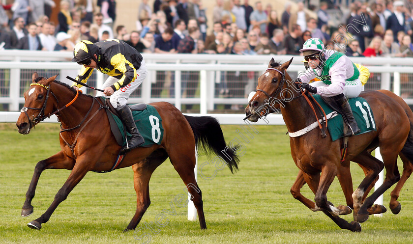 Mystic-Dreamer-0003 
 MYSTIC DREAMER (Leighton Aspell) beats FLORESSA (right) in The Spreadex Sports Betting Mares Standard Open National Hunt Flat Race
Cheltenham 18 Apr 2019 - Pic Steven Cargill / Racingfotos.com