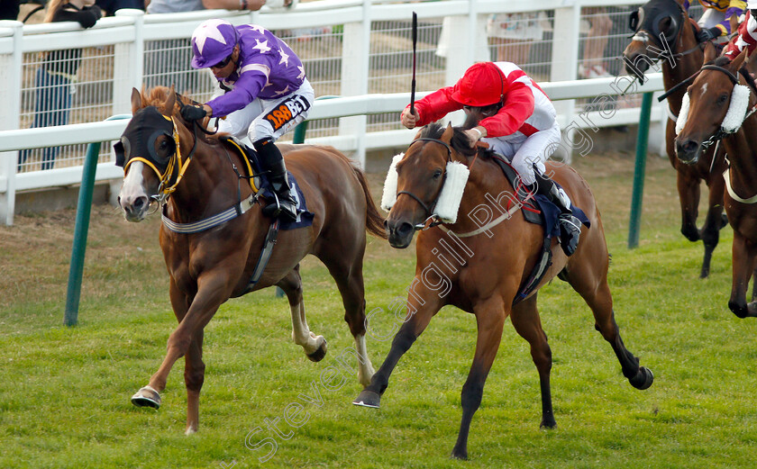 Deeds-Not-Words-0002 
 DEEDS NOT WORDS (right, John Egan) beats ARCANISTA (left) in The Aeropak Handicap
Yarmouth 18 Jul 2018 - Pic Steven Cargill / Racingfotos.com