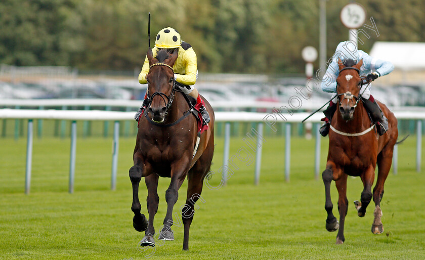 Without-A-Fight-0006 
 WITHOUT A FIGHT (Andrea Atzeni) beats TORONTO (right) in The Read Ryan Moore Columns On Betting.Betfair Handicap
Haydock 3 Sep 2020 - Pic Steven Cargill / Racingfotos.com