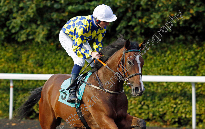 Celtic-Diligence-0002 
 CELTIC DILIGENCE (Darragh Keenan)
Kempton 6 Sep 2024 - Pic Steven Cargill / Racingfotos.com