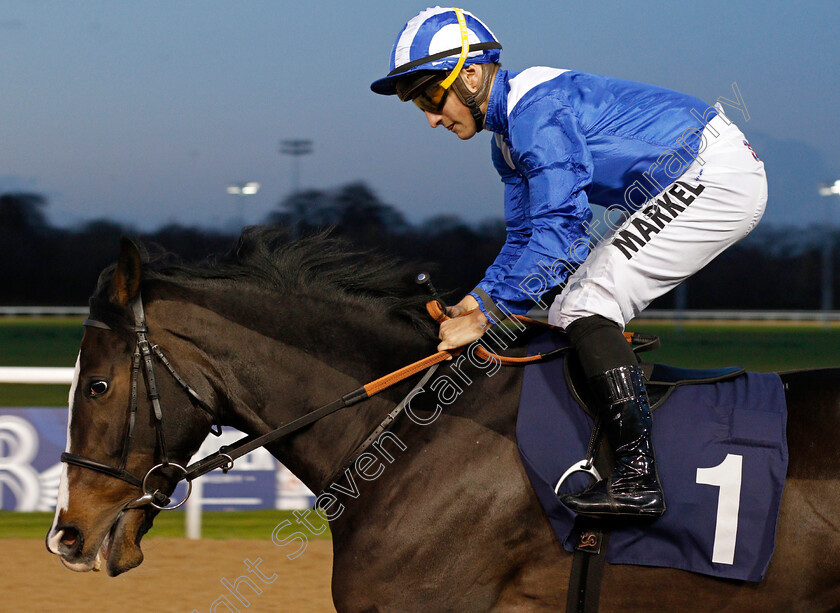 Aqrab-0001 
 AQRAB (Tom Marquand)
Wolverhampton 26 Nov 2019 - Pic Steven Cargill / Racingfotos.com