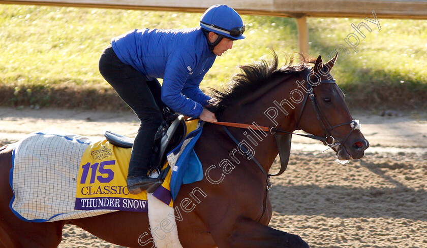 Thunder-Snow-0002 
 THUNDER SNOW exercising ahead of the The Breeders' Cup Classic
Churchill Downs USA 29 Oct 2018 - Pic Steven Cargill / Racingfotos.com