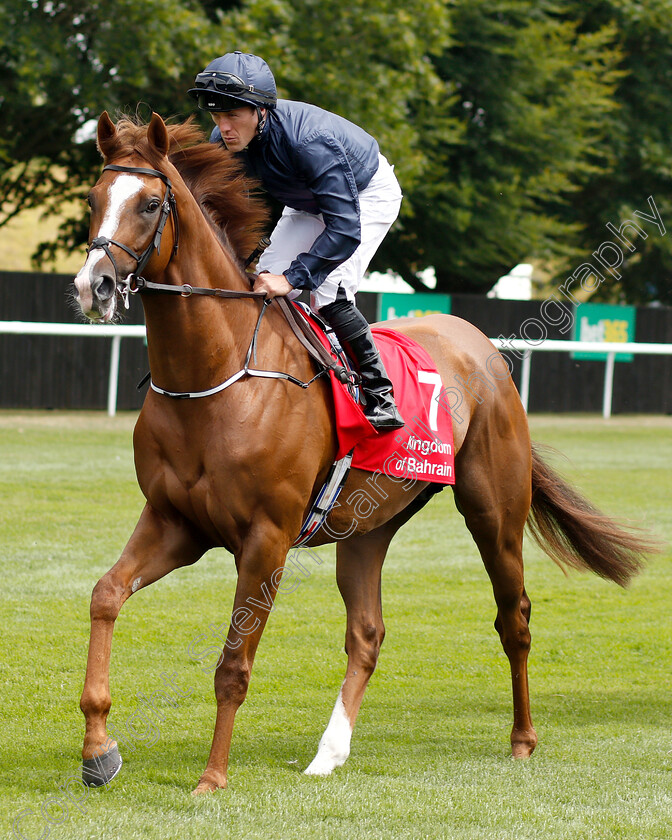 Victory-Salute-0003 
 VICTORY SALUTE (Padraig Beggy)
Newmarket 12 Jul 2018 - Pic Steven Cargill / Racingfotos.com