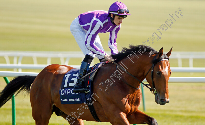 Saxon-Warrior-0003 
 SAXON WARRIOR (Donnacha O'Brien) before The Qipco 2000 Guineas Newmarket 5 May 2018 - Pic Steven Cargill / Racingfotos.com