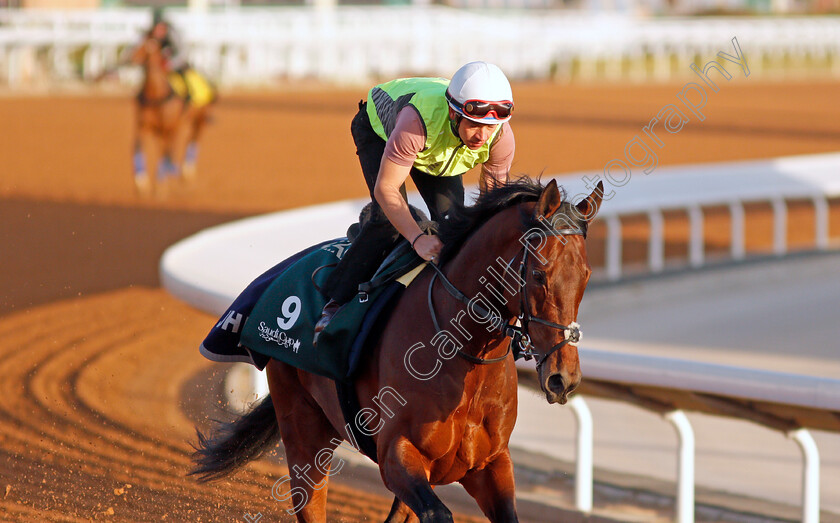 Mishriff-0008 
 MISHRIFF training for The Saudi Cup
King Abdulaziz Racetrack, Riyadh, Saudi Arabia 23 Feb 2022 - Pic Steven Cargill / Racingfotos.com