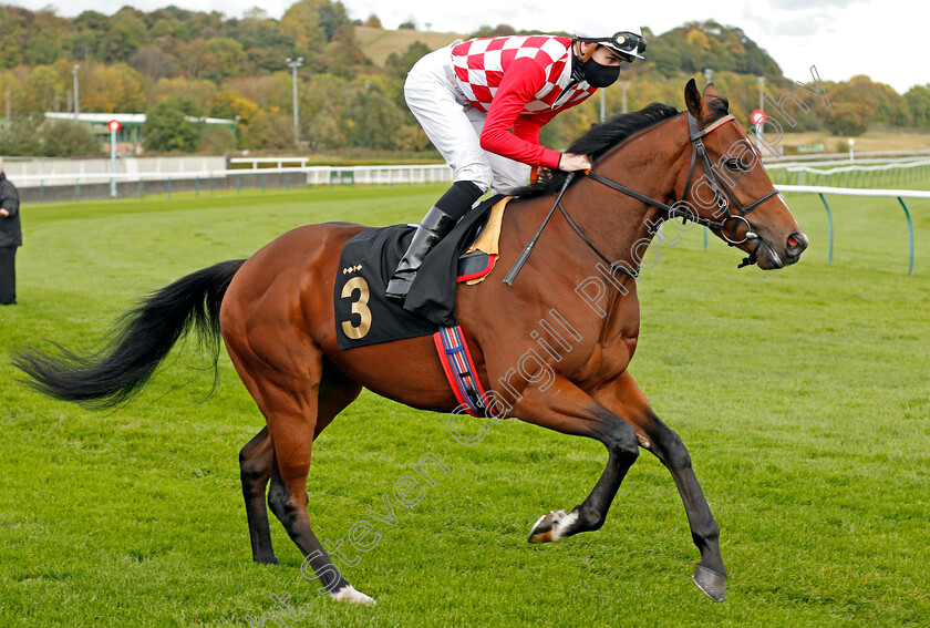 Mind-That-Jet-0001 
 MIND THAT JET (Hector Crouch)
Nottingham 14 Oct 2020 - Pic Steven Cargill / Racingfotos.com