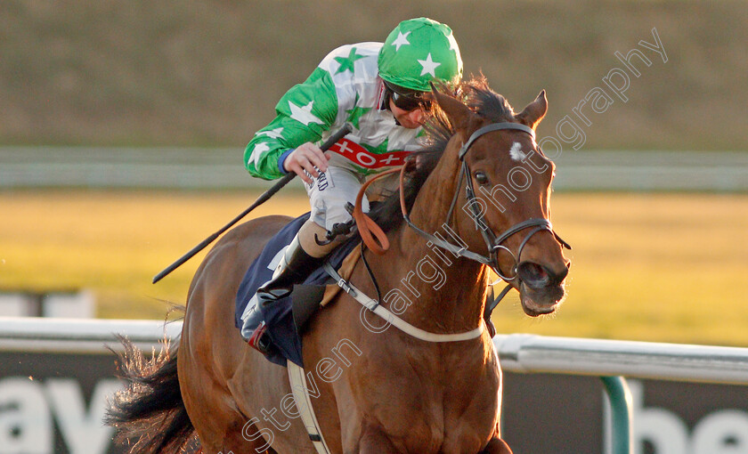 Jamaican-Jill-0003 
 JAMAICAN JILL (Martin Dwyer) wins The Betway Handicap
Lingfield 4 Jan 2020 - Pic Steven Cargill / Racingfotos.com