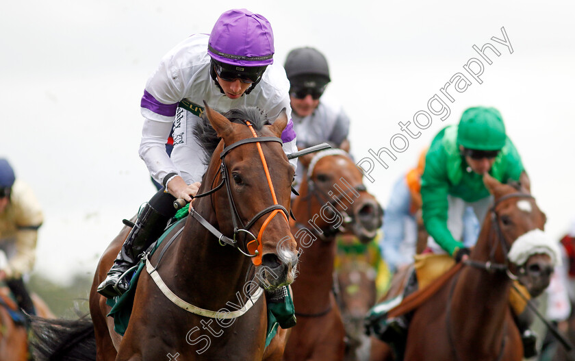 Diligently-0001 
 DILIGENTLY (Rossa Ryan) wins The Harry's Half Million By Goffs Premier Yearling Stakes
York 22 Aug 2024 - Pic Steven Cargill / Racingfotos.com