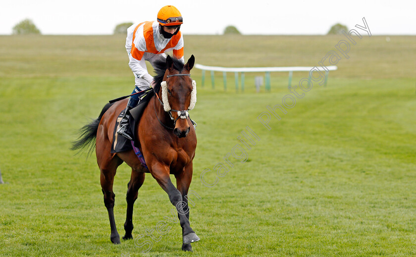 Hotspur-Harry-0001 
 HOTSPUR HARRY (Darragh Keenan)
Newmarket 14 May 2021 - Pic Steven Cargill / Racingfotos.com