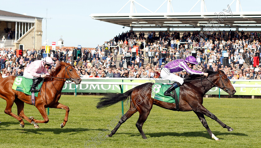 Mohawk-0006 
 MOHAWK (Donnacha O'Brien) beats SYDNEY OPERA HOUSE (left) in The Juddmonte Royal Lodge Stakes
Newmarket 29 Sep 2018 - Pic Steven Cargill / Racingfotos.com