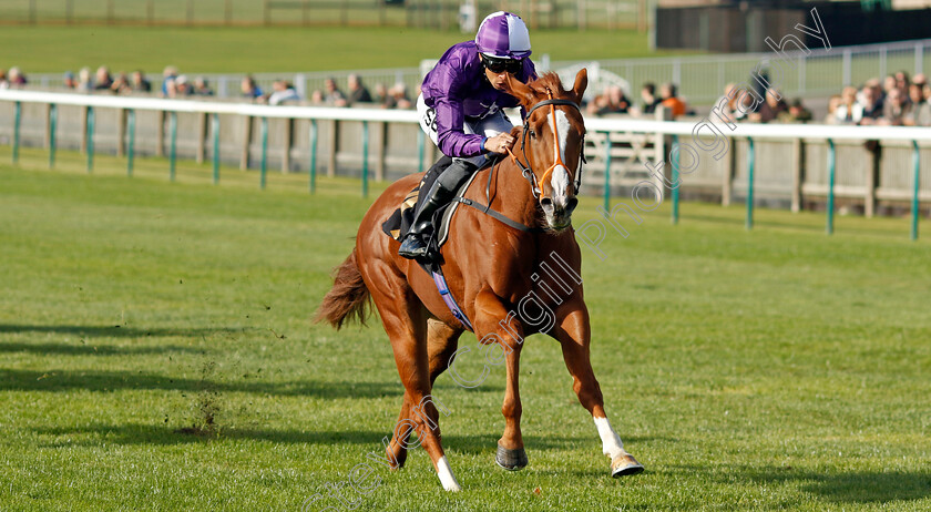 Mammas-Girl-0003 
 MAMMAS GIRL (Sean Levey) wins The Discover Newmarket Fillies Restricted Novice Stakes Div2
Newmarket 19 Oct 2022 - Pic Steven Cargill / Racingfotos.com