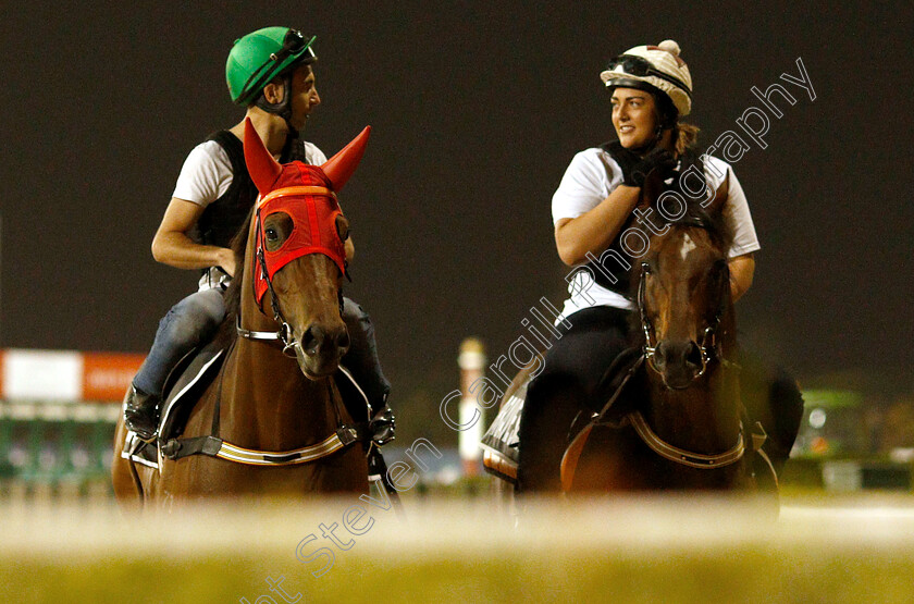 Illustrious-Lad-and-Brave-Smash-0001 
 ILLUSTRIOUS LAD and BRAVE SMASH training for The Al Quoz Sprint
Meydan 28 Mar 2019 - Pic Steven Cargill / Racingfotos.com