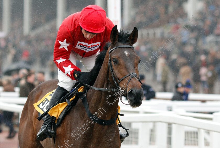 Protektorat-0001 
 PROTEKTORAT (Harry Skelton)
Cheltenham 27 Jan 2019 - Pic Steven Cargill / Racingfotos.com