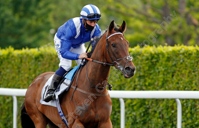 Wishaah-0002 
 WISHAAH (Jim Crowley) winner of The Unibet Extra Place Offers Every Day Novice Stakes Div1
Kempton 2 Jun 2021 - Pic Steven Cargill / Racingfotos.com