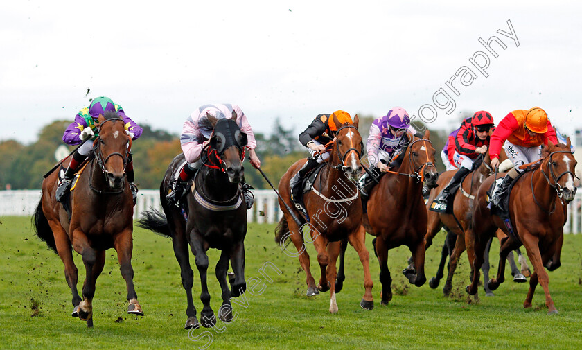 Erissimus-Maximus-0002 
 ERISSIMUS MAXIMUS (2nd left, Lewis Edmunds) beats EVERGATE (left) in The Mcgee Lighthouse Club Handicap Ascot 7 Oct 2017 - Pic Steven Cargill / Racingfotos.com