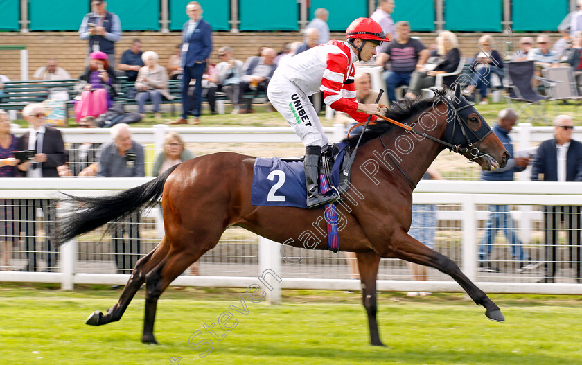 Ararat-0001 
 ARARAT (Jamie Spencer)
Yarmouth 13 Sep 2022 - Pic Steven Cargill / Racingfotos.com