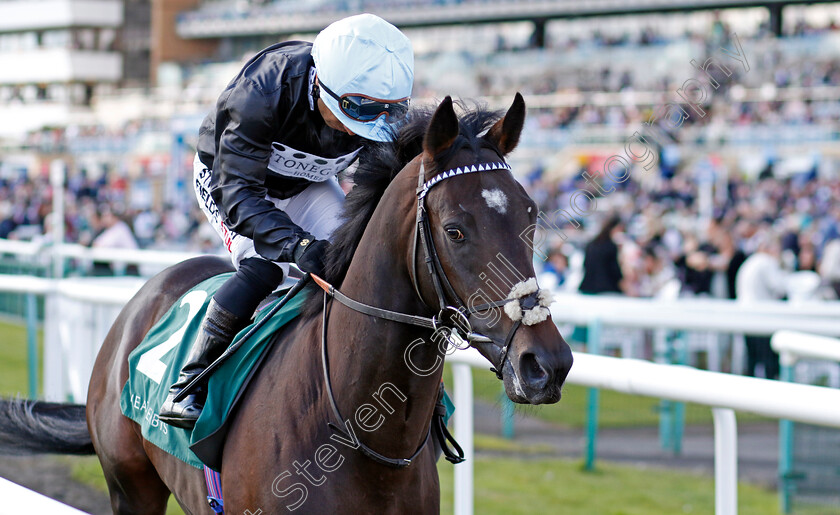 Deauville-Blue-0001 
 DEAUVILLE BLUE (Silvestre de Sousa)
Doncaster 12 Sep 20234 - Pic Steven Cargill / Racingfotos.com