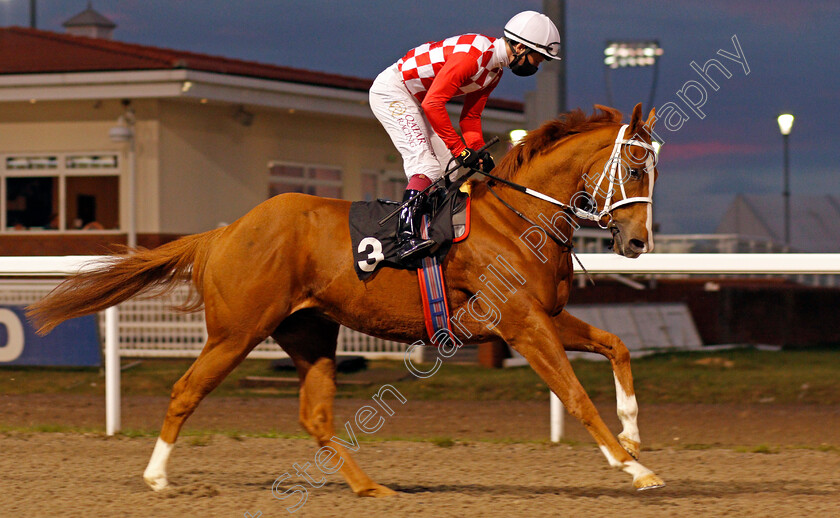 Baba-Reza-0001 
 BABA REZA (Oisin Murphy) winner of The CCR Novice Auction Stakes
Chelmsford 8 Oct 2020 - Pic Steven Cargill / Racingfotos.com