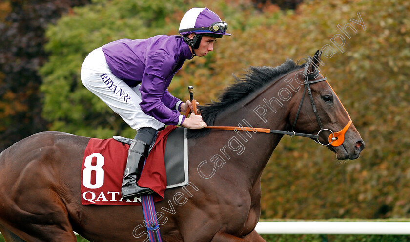 Mojo-Star-0002 
 MOJO STAR (Rossa Ryan)
Longchamp 3 Oct 2021 - Pic Steven Cargill / Racingfotos.com