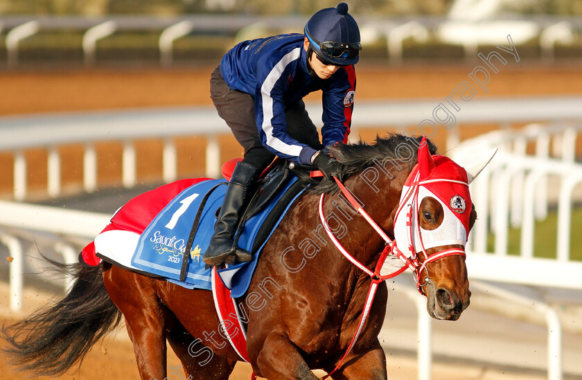 Bathrat-Leon-0001 
 BATHRAT LEON training for The 1351 Turf Sprint
King Abdulaziz Racecourse, Kingdom of Saudi Arabia, 22 Feb 2023 - Pic Steven Cargill / Racingfotos.com