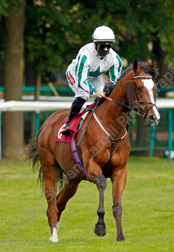 Surprise-Exhibit-0001 
 SURPRISE EXHIBIT (Hollie Doyle)
Haydock 5 Sep 2020 - Pic Steven Cargill / Racingfotos.com