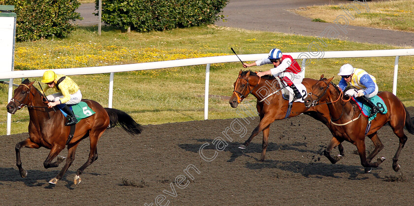 Motawaj-0001 
 MOTAWAJ (David Egan) wins The 32Red Casino Handicap Div1
Kempton 10 Jul 2019 - Pic Steven Cargill / Racingfotos.com