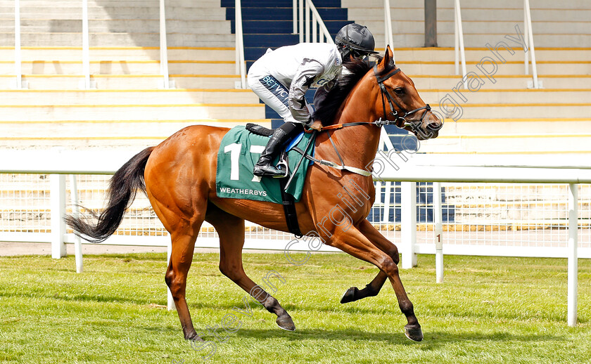 Ocean-Eyes-0001 
 OCEAN EYES (Nicola Currie)
Newbury 19 Jul 2020 - Pic Steven Cargill / Racingfotos.com