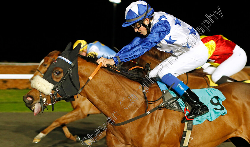 Aspire-To-Glory-0002 
 ASPIRE TO GLORY (Tommie Jakes) wins The Try Unibet's New Acca Boosts Nursery
Kempton 13 Dec 2023 - Pic Steven Cargill / Racingfotos.com