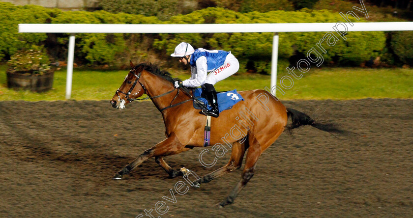 Humbert-0004 
 HUMBERT (Josephine Gordon) wins The Smarter Bets With Matchbook Maiden Stakes Kempton 13 Dec 2017 - Pic Steven Cargill / Racingfotos.com