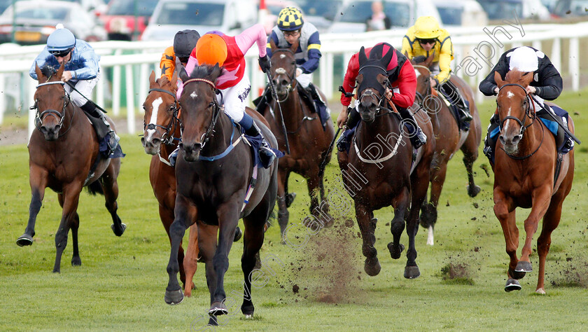 Breathtaking-Look-0001 
 BREATHTAKING LOOK (Jim Crowley) beats FARZEEN (right) and DI FEDE (2nd right) in The Japan Racing Association Sceptre Stakes
Doncaster 13 Sep 2019 - Pic Steven Cargill / Racingfotos.com