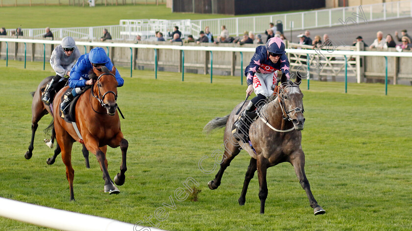 Don t-Tell-Claire-0005 
 DON'T TELL CLAIRE (Jack Mitchell) wins The Racing TV Fillies Handicap
Newmarket 19 Oct 2022 - Pic Steven Cargill / Racingfotos.com