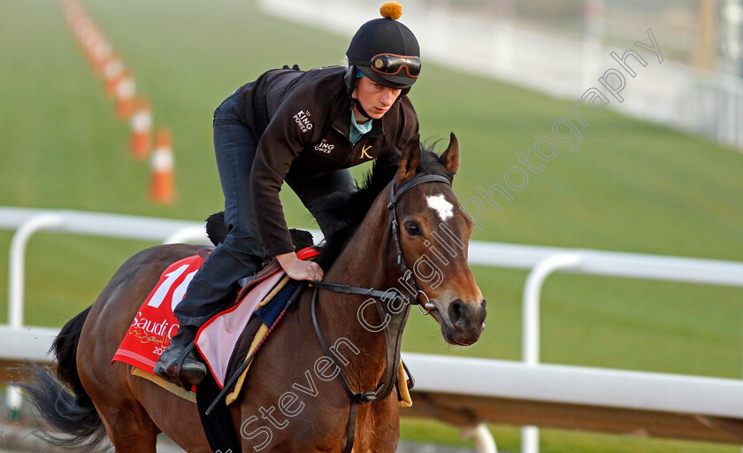 Nate-The-Great-0002 
 NATE THE GREAT training for The Red Sea Turf Handicap
King Abdulaziz Racecourse, Kingdom of Saudi Arabia, 22 Feb 2023 - Pic Steven Cargill / Racingfotos.com