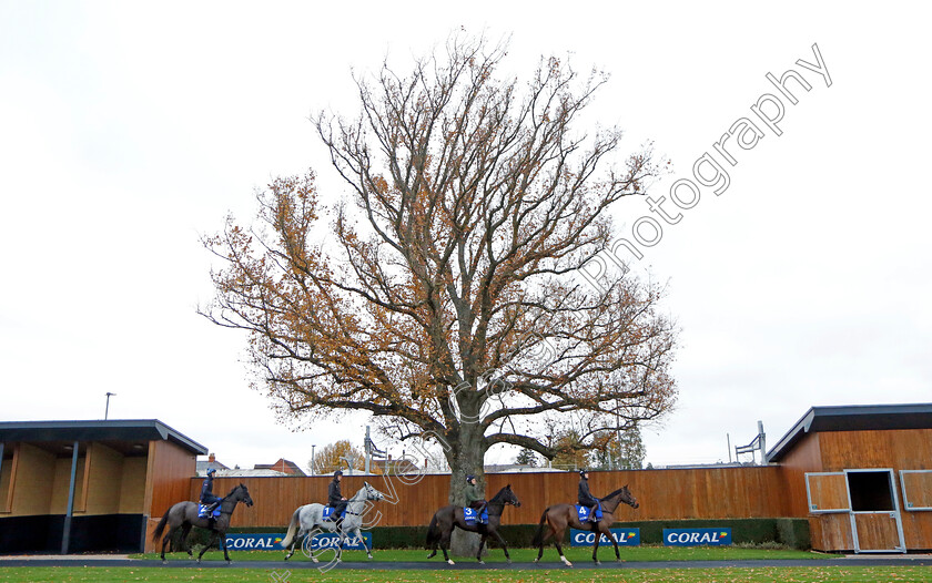 Skelton-string-0001 
 Harry Skelton string; ASHTOWN LAD (Bridget Andrews) MY DROGO (Harry Skelton) SAIL AWAY (Derek O'Connor) ETALON (Lorcan Williams) 
Coral Gold Cup Gallops Morning
Newbury 21 Nov 2023 - Pic Steven Cargill / Racingfotos.com