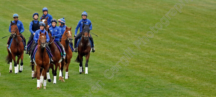 Modern-Games-0006 
 MODERN GAMES leads the Godolphin string training for the Breeders' Cup 
Keeneland USA 1 Nov 2022 - Pic Steven Cargill / Racingfotos.com