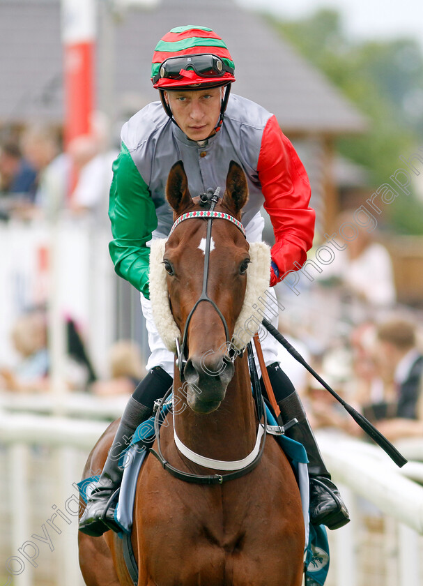 Miss-Jungle-Cat-0001 
 MISS JUNGLE CAT (Sam James)
York 17 Jun 2023 - Pic Steven Cargill / Racingfotos.com