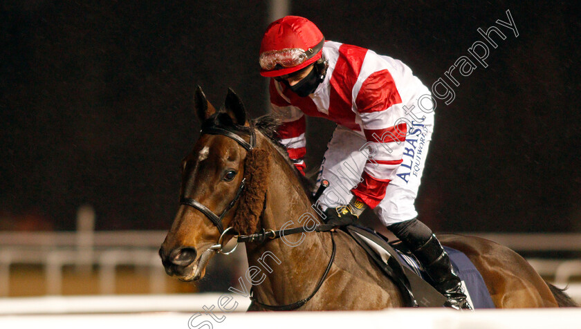 Sinjaari-0001 
 SINJAARI (Tom Marquand)
Wolverhampton 11 Jan 2021 - Pic Steven Cargill / Racingfotos.com