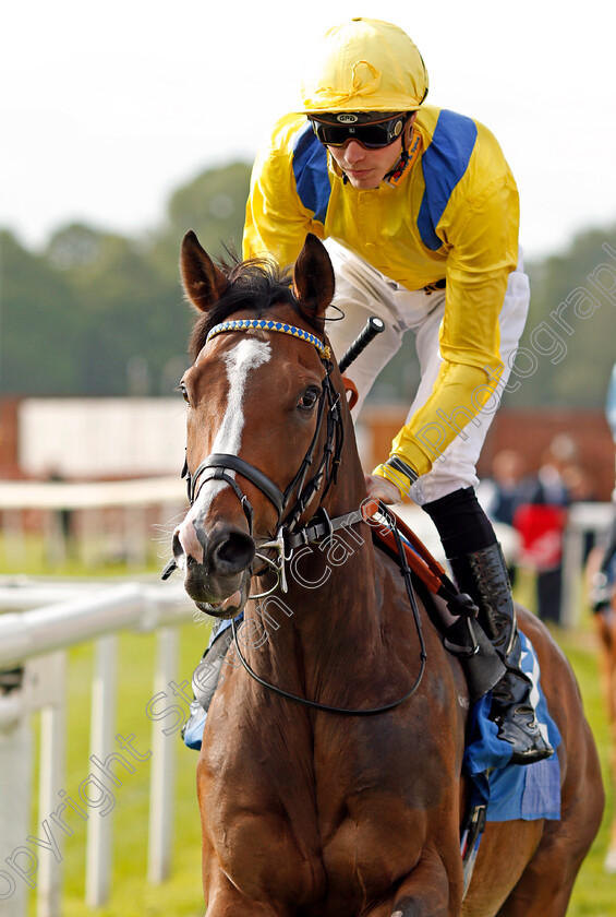 Reverend-Jacob-0001 
 REVEREND JACOBS (James Doyle) before The Oaks Farm Stables Handicap York 16 May 2018 - Pic Steven Cargill / Racingfotos.com