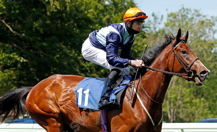 Rooful-0002 
 ROOFUL (Charles Bishop)
Salisbury 8 Jun 2021 - Pic Steven Cargill / Racingfotos.com