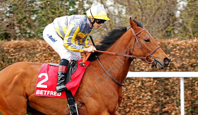 Hunaina-0003 
 HUNAINA (Alexis Badel) winner of The Betfred Home Of Goals Galore Snowdrop Fillies Stakes Kempton 7 Apr 2018 - Pic Steven Cargill / Racingfotos.com