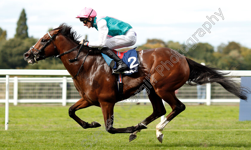 First-Eleven-0007 
 FIRST ELEVEN (Robert Havlin) wins The Lavazza Handicap
Ascot 8 Sep 2018 - Pic Steven Cargill / Racingfotos.com